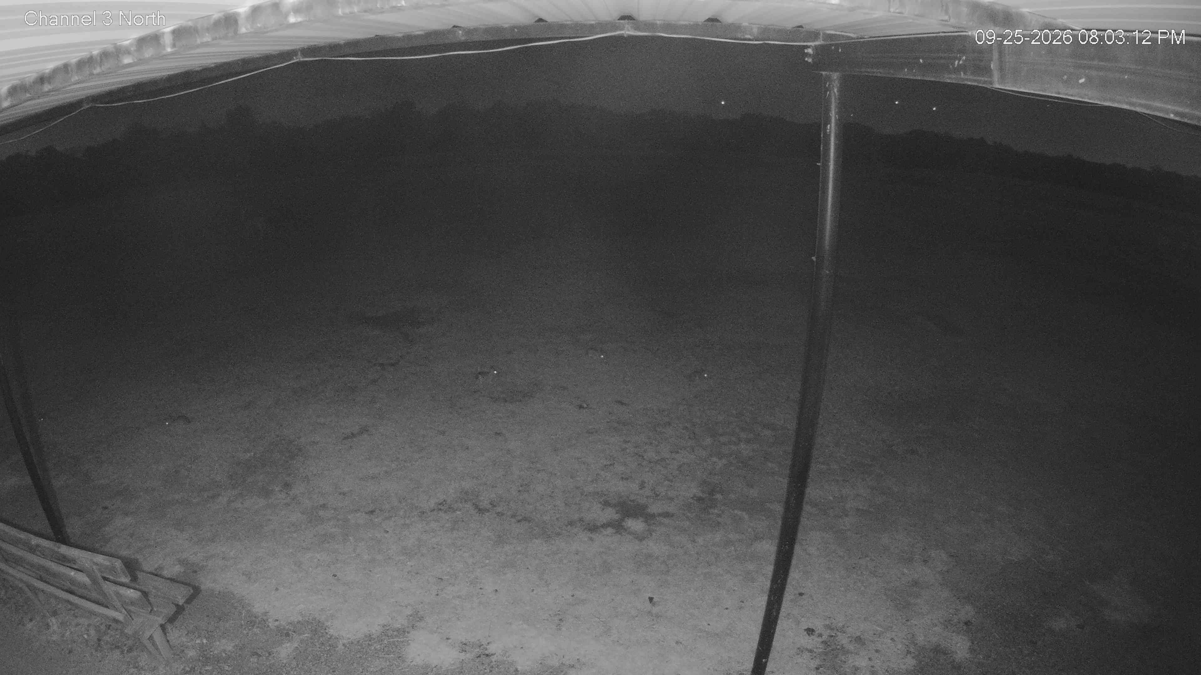 camera image